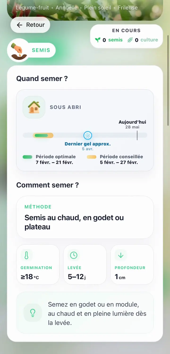 Fiche de culture Grainly avec la période de semis, le dernier gel et les conseils de germination.